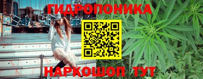 тгк Нальчик